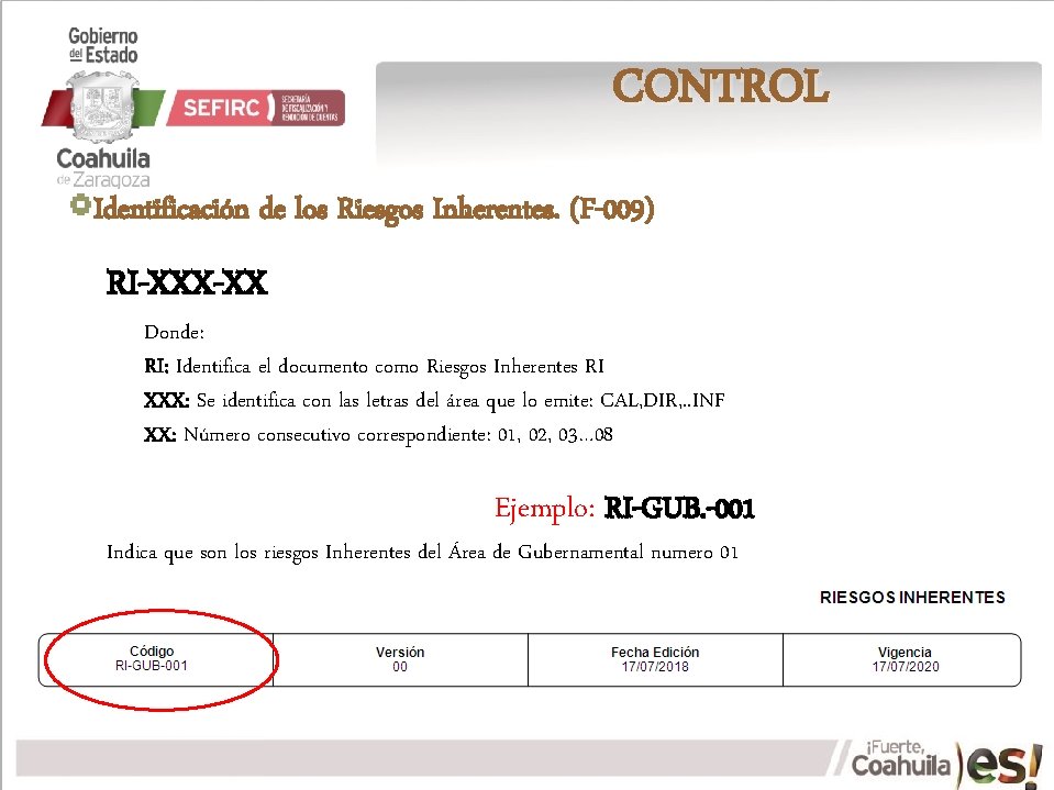 CONTROL Identificación de los Riesgos Inherentes. (F-009) RI-XXX-XX Donde: RI: Identifica el documento como