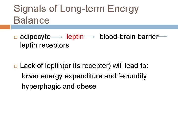 Signals of Long-term Energy Balance adipocyte leptin receptors blood-brain barrier Lack of leptin(or its