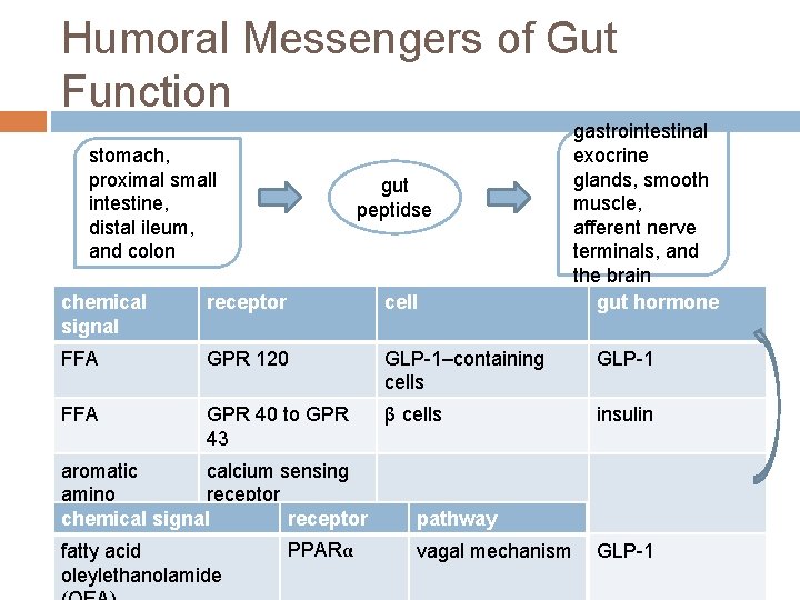 Humoral Messengers of Gut Function stomach, proximal small intestine, distal ileum, and colon gut