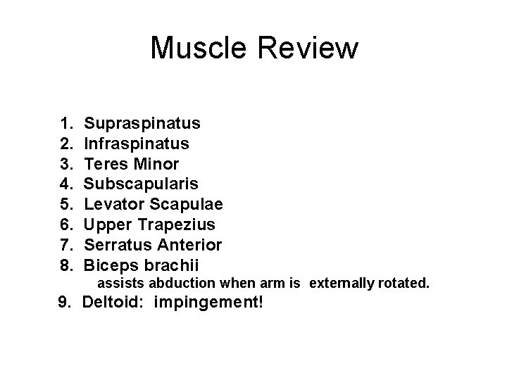 Muscle Review 1. 2. 3. 4. 5. 6. 7. 8. Supraspinatus Infraspinatus Teres Minor