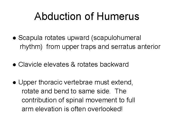 Abduction of Humerus ● Scapula rotates upward (scapulohumeral rhythm) from upper traps and serratus
