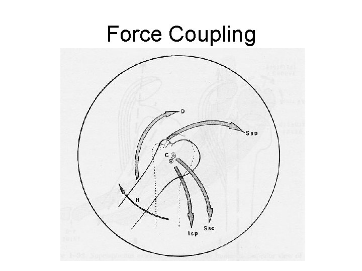 Force Coupling 