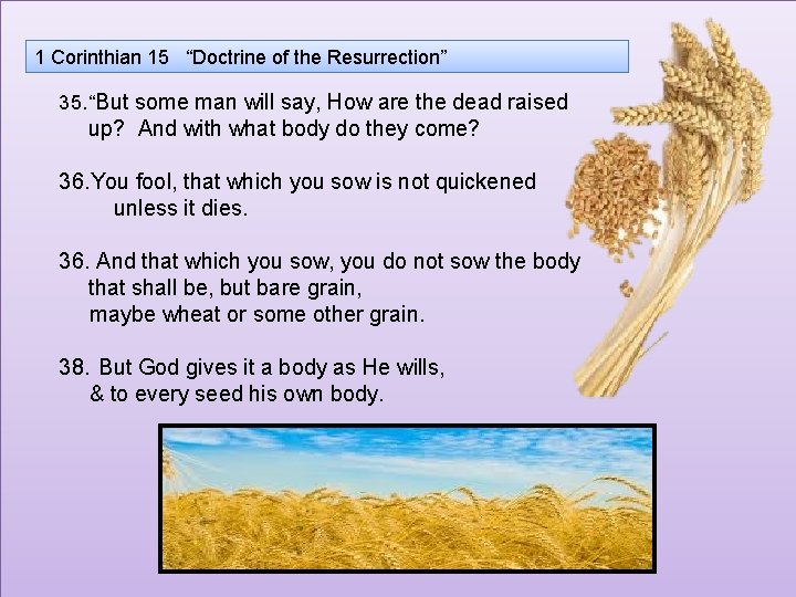 1 Corinthian 15 “Doctrine of the Resurrection” 35. “But some man will say, How