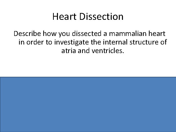 Heart Dissection Describe how you dissected a mammalian heart in order to investigate the