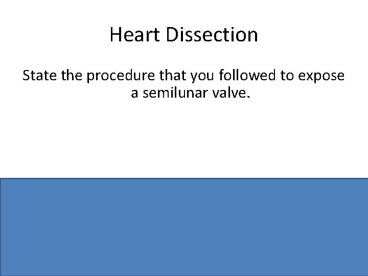 Heart Dissection State the procedure that you followed to expose a semilunar valve. Cut