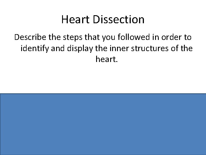 Experiment Questions Heart Dissection Heart Dissection Describe how