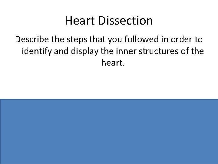 Heart Dissection Describe the steps that you followed in order to identify and display