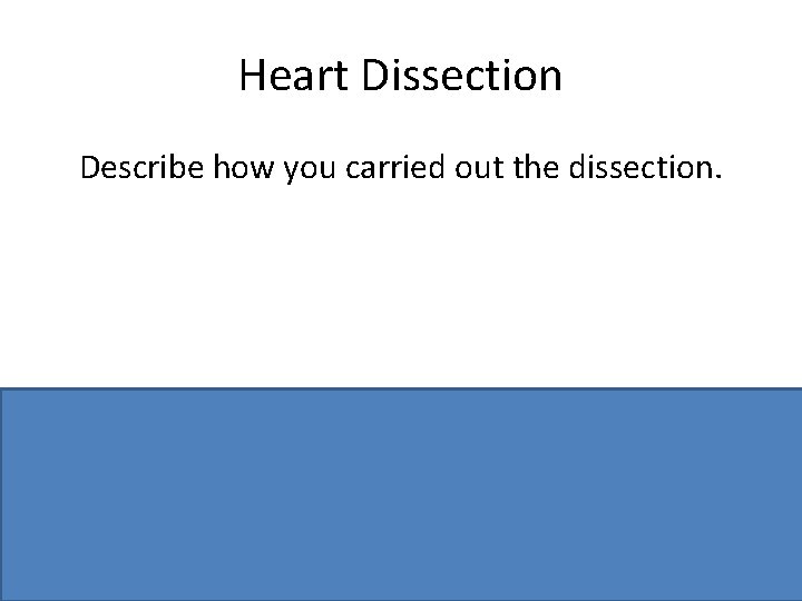 Heart Dissection Describe how you carried out the dissection. Ventral side up / identify