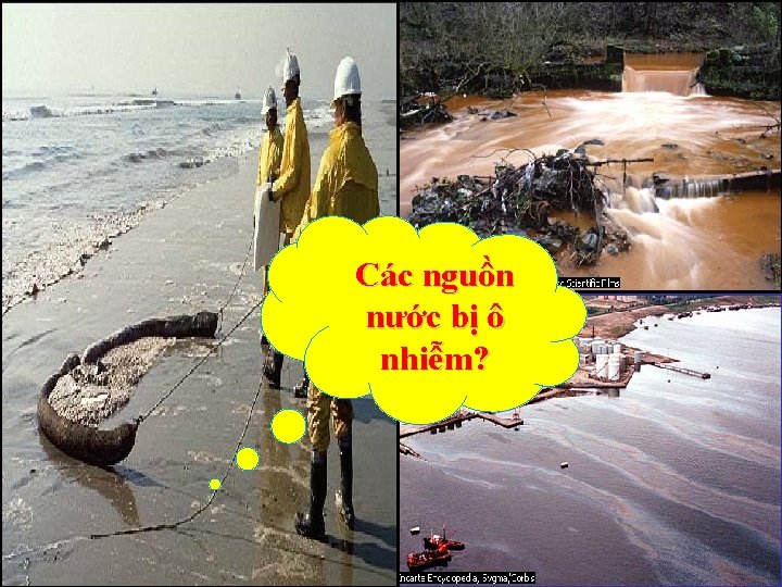 Các nguồn nước bị ô nhiễm? 