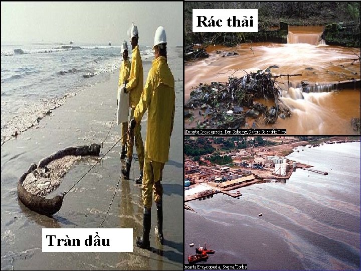 Rác thải Tràn dầu 