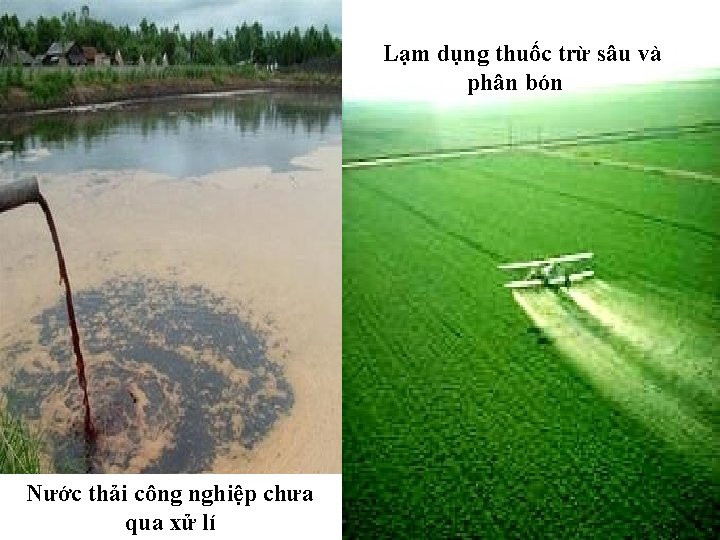 Lạm dụng thuốc trừ sâu và phân bón Nước thải công nghiệp chưa qua