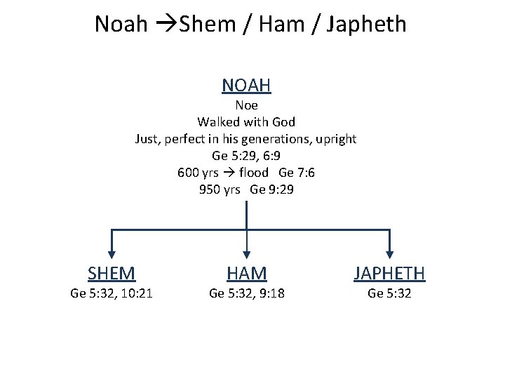 Noah Shem / Ham / Japheth NOAH Noe Walked with God Just, perfect in