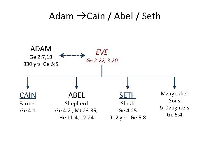 Adam Cain / Abel / Seth ADAM EVE Ge 2: 7, 19 930 yrs