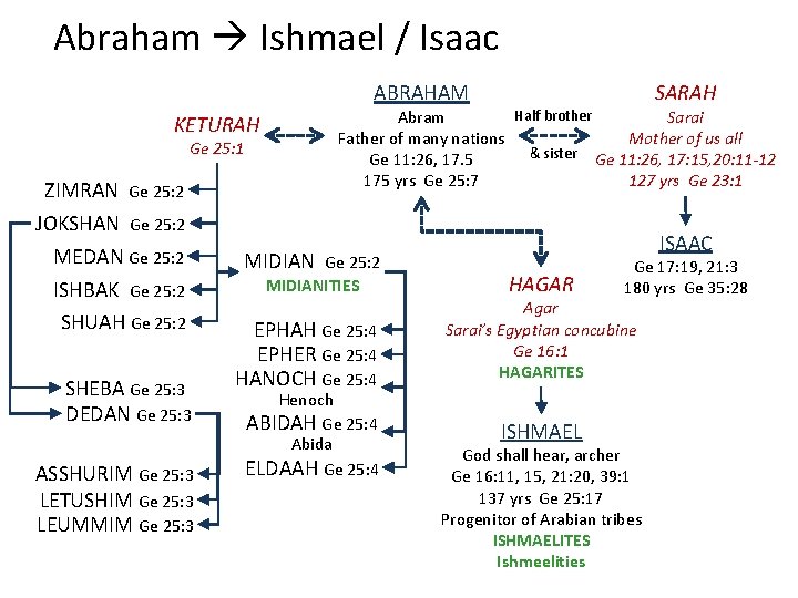 Abraham Ishmael / Isaac ABRAHAM Half brother Abram Sarai Father of many nations Mother