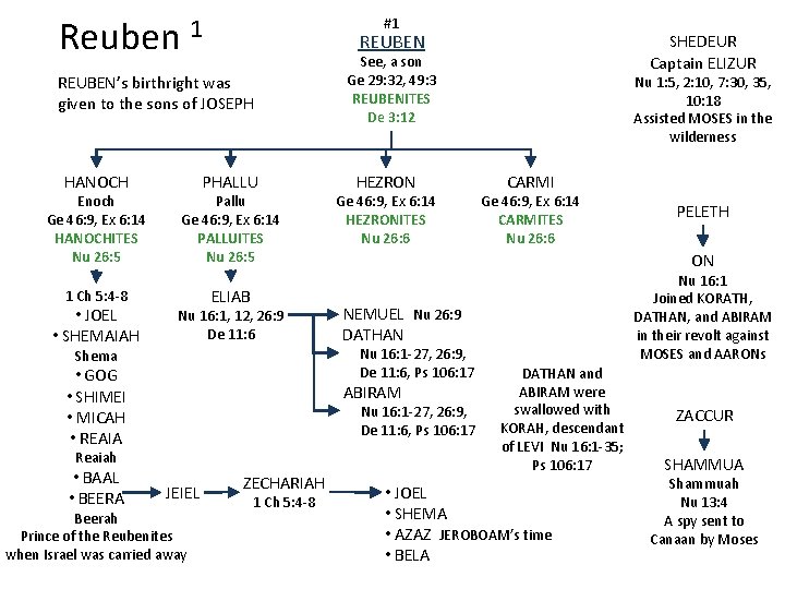 Reuben 1 #1 REUBEN’s birthright was given to the sons of JOSEPH HANOCH Enoch