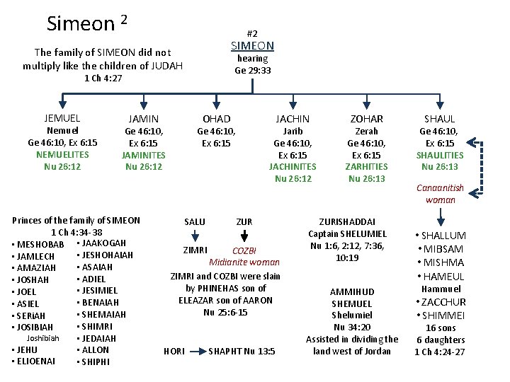 Simeon 2 #2 SIMEON The family of SIMEON did not multiply like the children