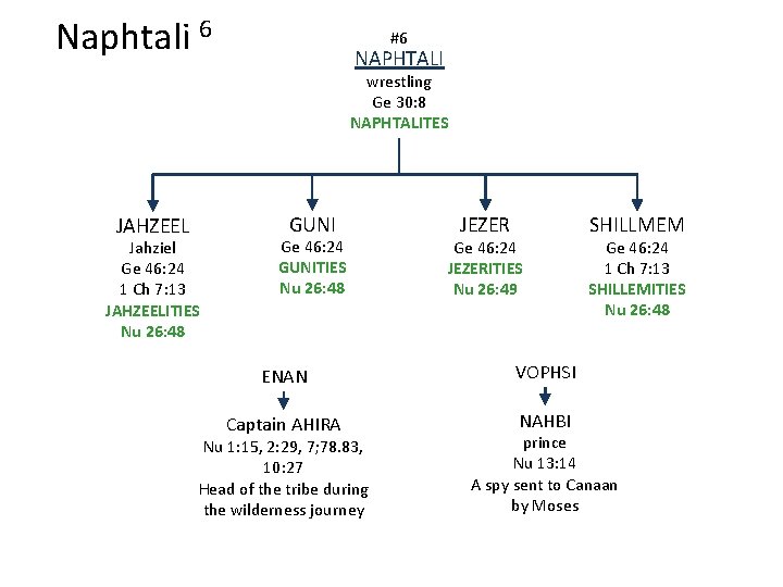 Naphtali 6 #6 NAPHTALI wrestling Ge 30: 8 NAPHTALITES JAHZEEL Jahziel Ge 46: 24