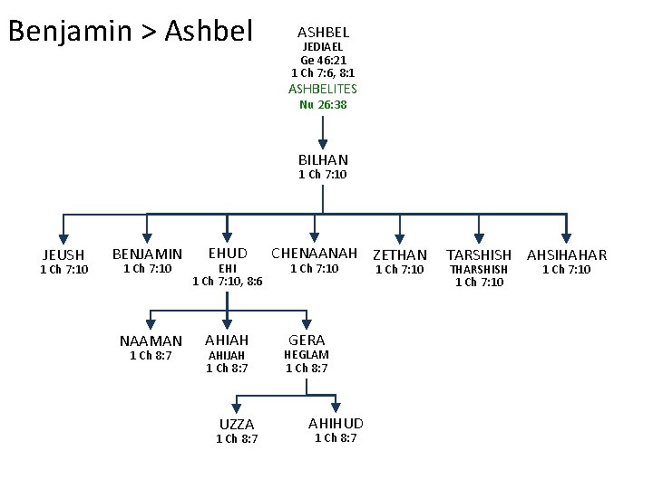 Benjamin > Ashbel ASHBEL JEDIAEL Ge 46: 21 1 Ch 7: 6, 8: 1