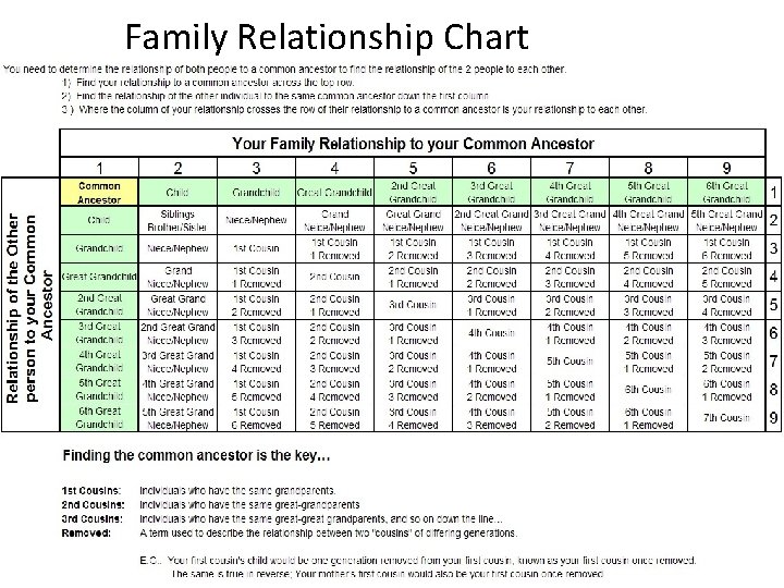 Family Relationship Chart 