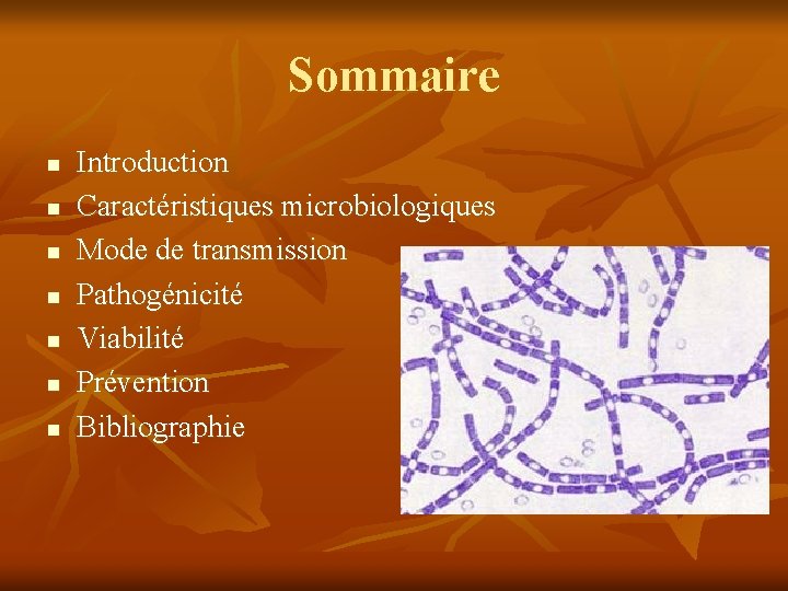 Sommaire n n n n Introduction Caractéristiques microbiologiques Mode de transmission Pathogénicité Viabilité Prévention