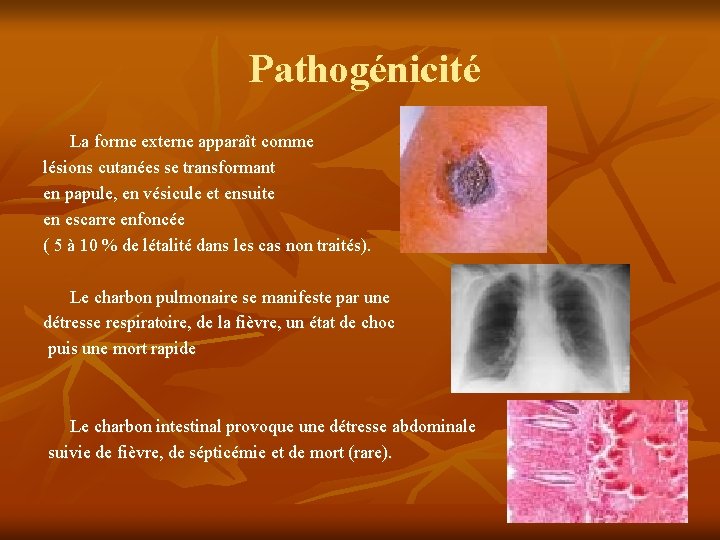 Pathogénicité La forme externe apparaît comme lésions cutanées se transformant en papule, en vésicule