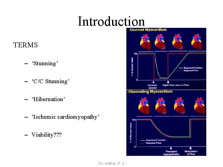 Introduction TERMS – ‘Stunning’ – ‘C/C Stunning’ – ‘Hibernation’ – ‘Ischemic cardiomyopathy’ – Viability?