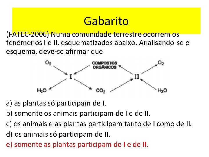 Gabarito (FATEC-2006) Numa comunidade terrestre ocorrem os fenômenos I e II, esquematizados abaixo. Analisando-se