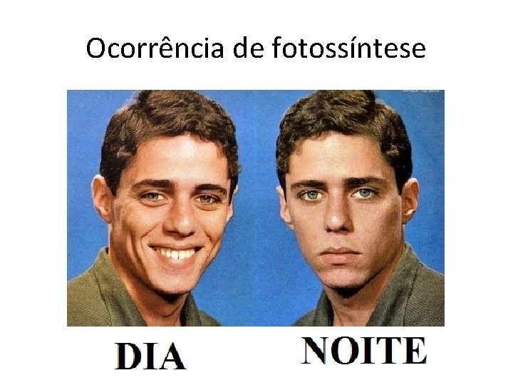 Ocorrência de fotossíntese 