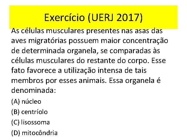 Exercício (UERJ 2017) As células musculares presentes nas asas das aves migratórias possuem maior