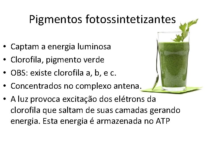 Pigmentos fotossintetizantes • • • Captam a energia luminosa Clorofila, pigmento verde OBS: existe