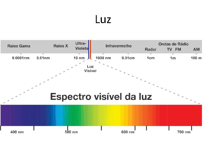 Luz 