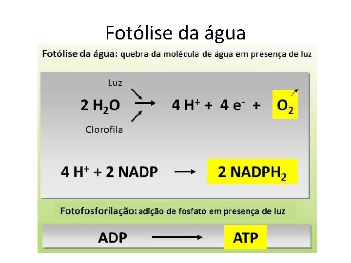 Fotólise da água 