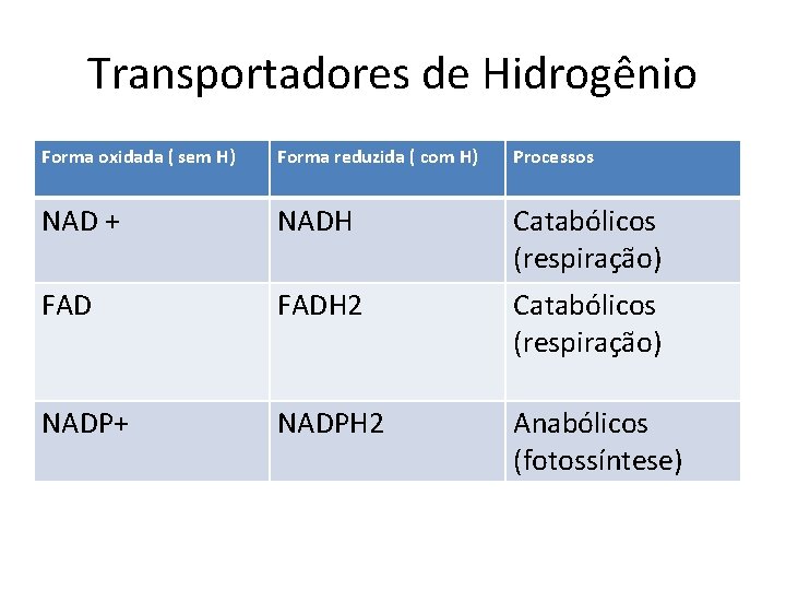 Transportadores de Hidrogênio Forma oxidada ( sem H) Forma reduzida ( com H) Processos