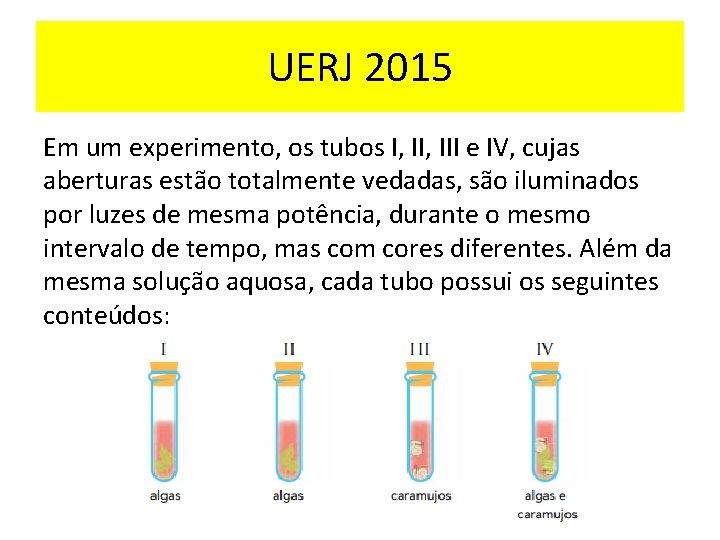 UERJ 2015 Em um experimento, os tubos I, III e IV, cujas aberturas estão