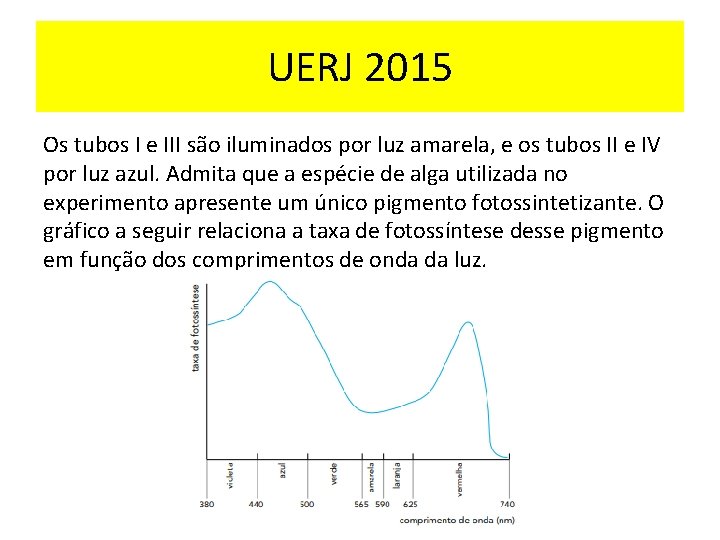 UERJ 2015 Os tubos I e III são iluminados por luz amarela, e os
