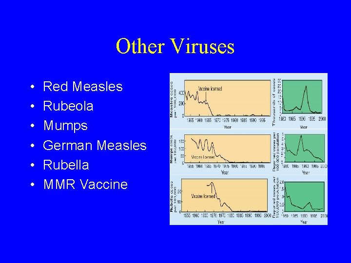 Other Viruses • • • Red Measles Rubeola Mumps German Measles Rubella MMR Vaccine