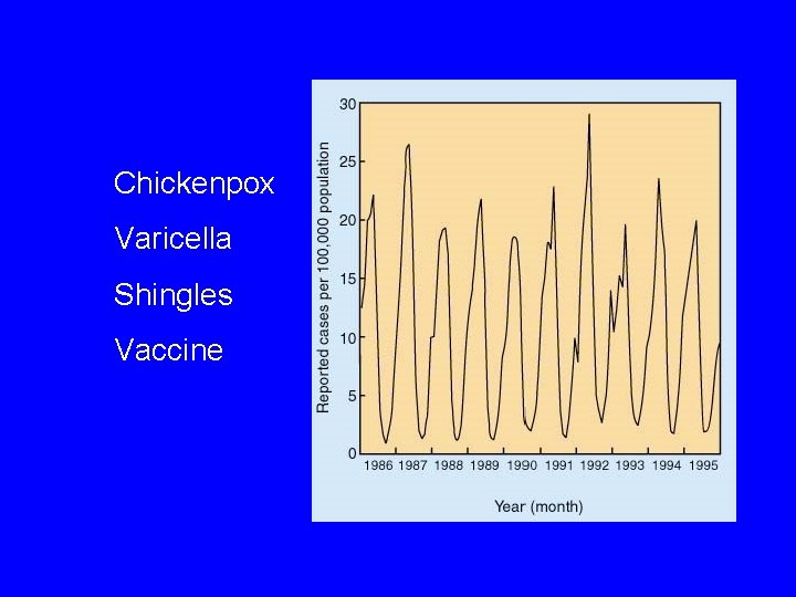 Chickenpox Varicella Shingles Vaccine 