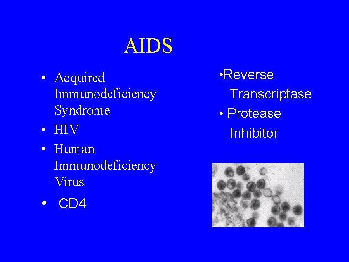 AIDS • Acquired Immunodeficiency Syndrome • HIV • Human Immunodeficiency Virus • CD 4