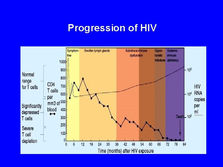 Progression of HIV 