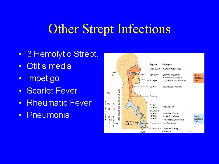 Other Strept Infections • • • Hemolytic Strept. Otitis media Impetigo Scarlet Fever Rheumatic