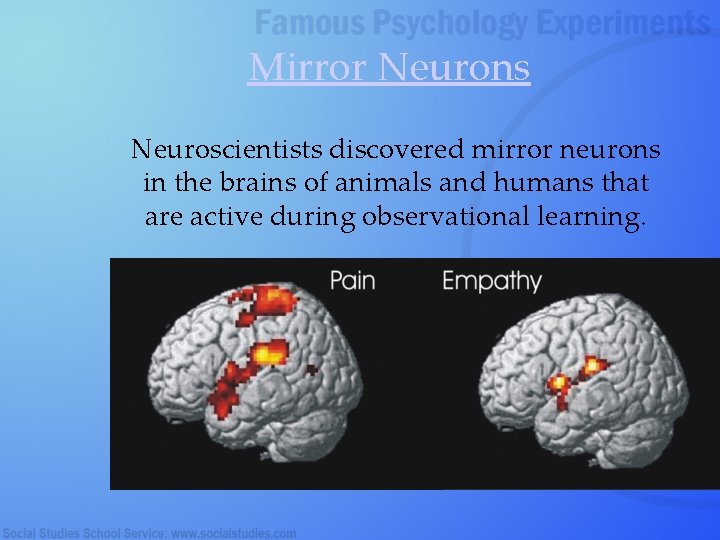 Mirror Neurons Neuroscientists discovered mirror neurons in the brains of animals and humans that