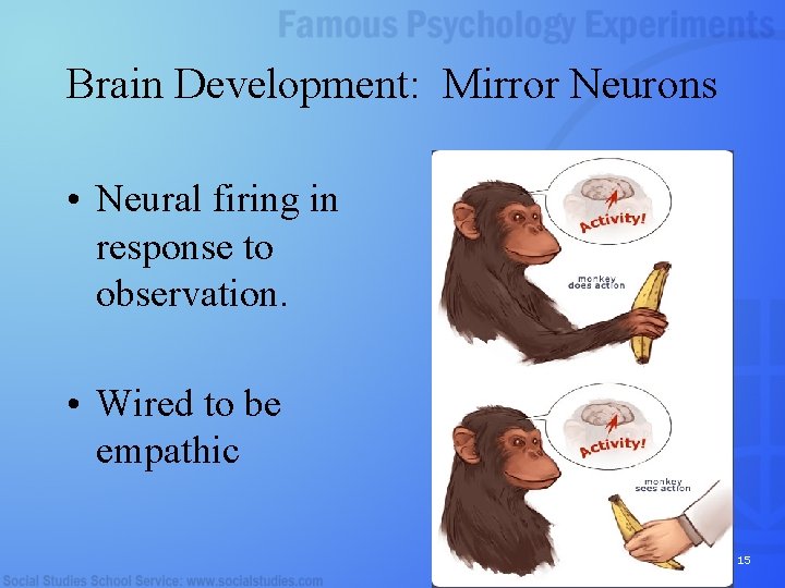 Brain Development: Mirror Neurons • Neural firing in response to observation. • Wired to