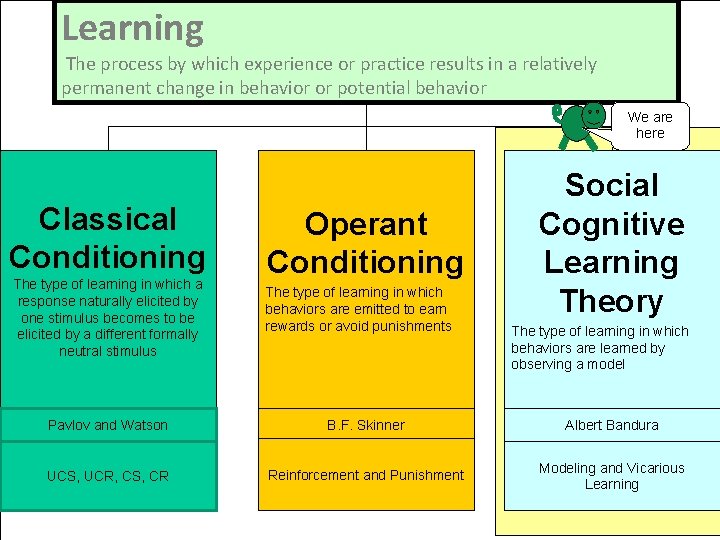 Learning The process by which experience or practice results in a relatively permanent change