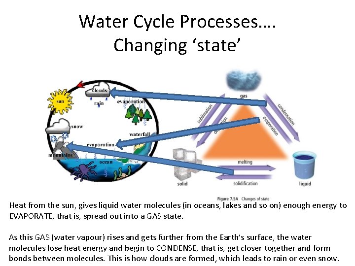 The Water Cycle Task 1 ThinkPairShare Think about