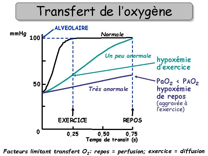 Transfert de l’oxygène mm. Hg ALVEOLAIRE 100 Normale Un peu anormale 50 Très anormale