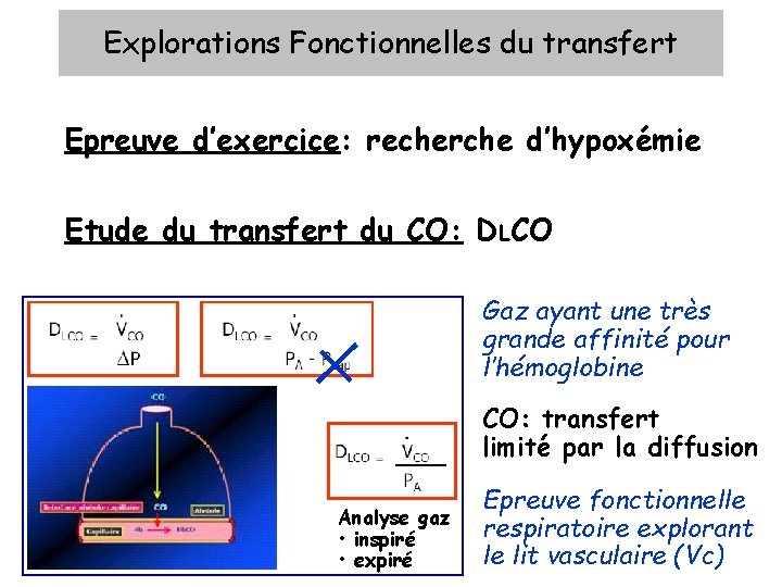 Explorations Fonctionnelles du transfert Epreuve d’exercice: recherche d’hypoxémie Etude du transfert du CO: DLCO