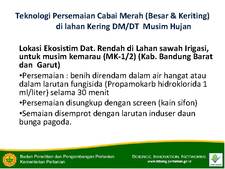 Teknologi Persemaian Cabai Merah (Besar & Keriting) di lahan Kering DM/DT Musim Hujan Lokasi