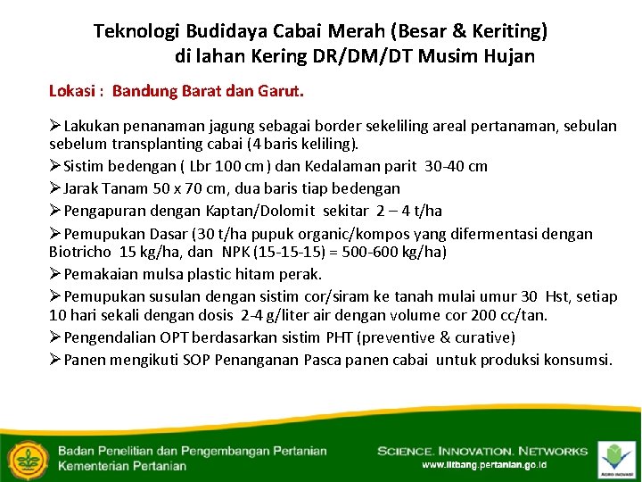 Teknologi Budidaya Cabai Merah (Besar & Keriting) di lahan Kering DR/DM/DT Musim Hujan Lokasi