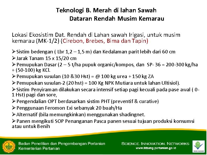 Teknologi B. Merah di lahan Sawah Dataran Rendah Musim Kemarau Lokasi Ekosistim Dat. Rendah