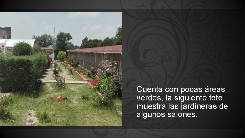 Cuenta con pocas áreas verdes, la siguiente foto muestra las jardineras de algunos salones.